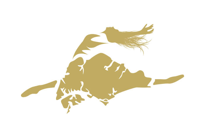 You are currently viewing International Ballet Grand Prix Singapore Logo
